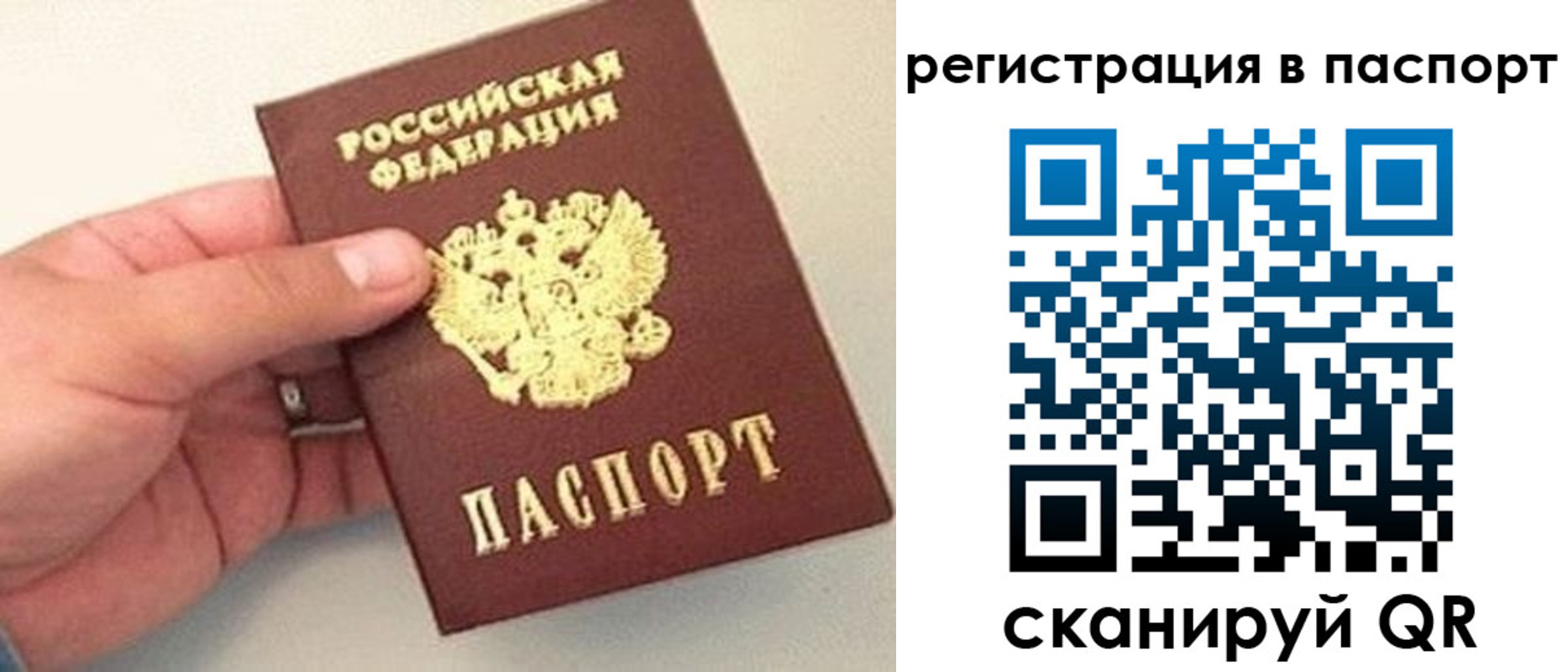 прописка законно в Лузе